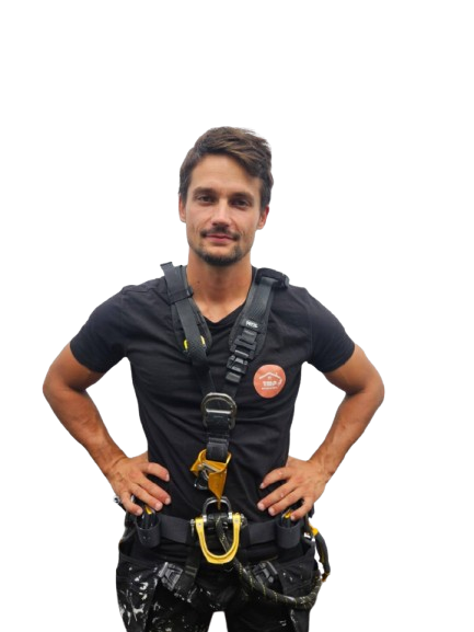 Image Tom devis rapide